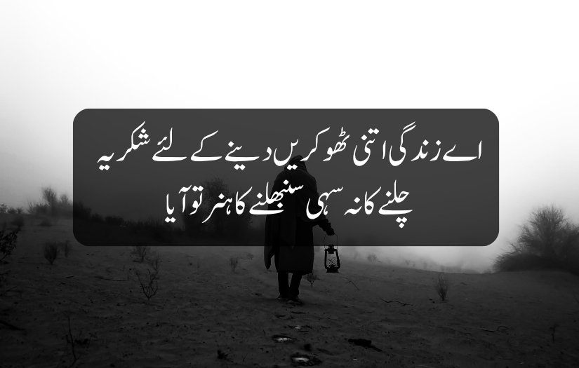 Urdu Shayari on Life