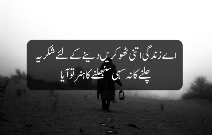 1 Urdu Shayari on Life